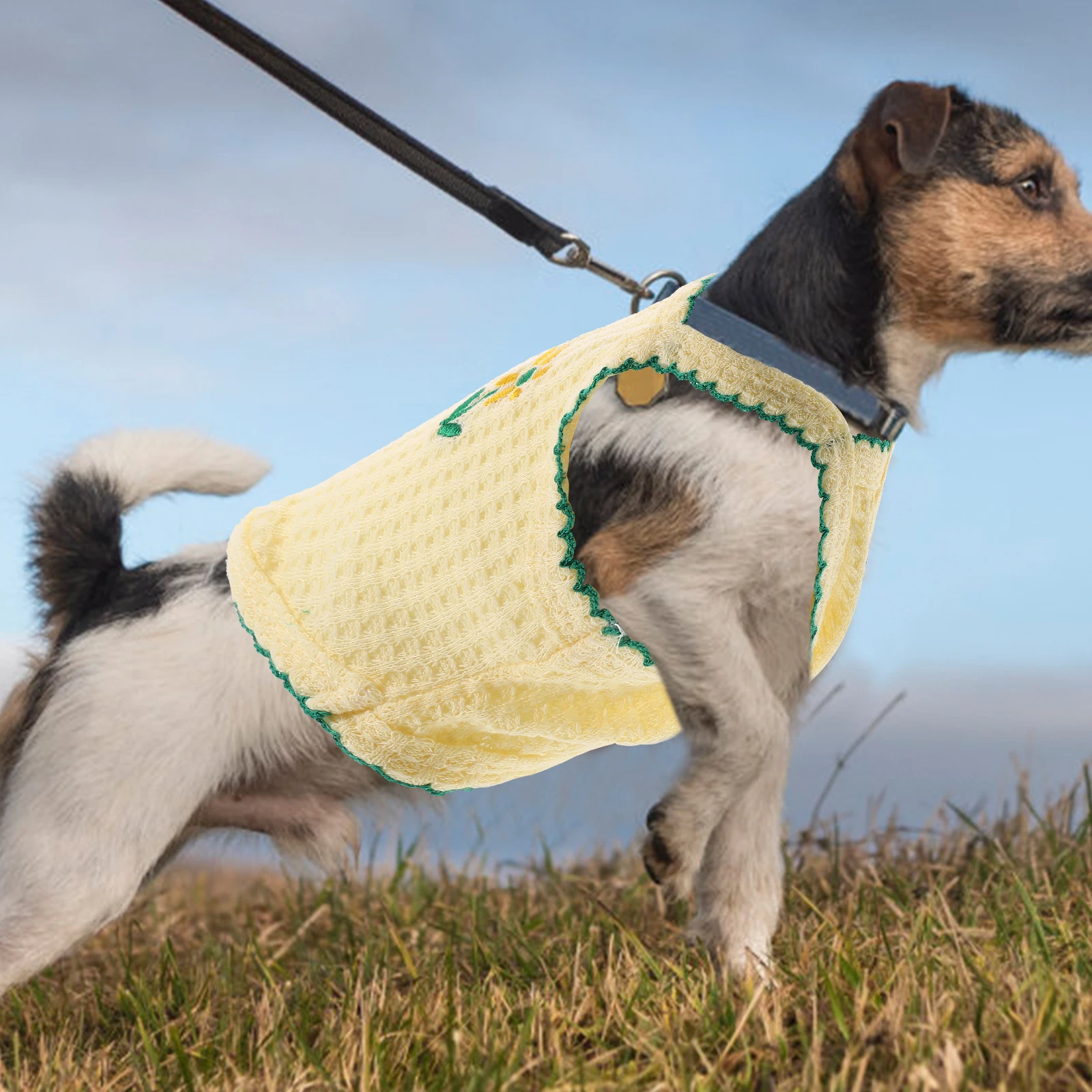 Summer Dress Puppy Vest Breathable Pet Shirt Cute Dog Clothes Costume Party Festival Photo Taking Portable Pet Wear Dog
Summer Dress Puppy Vest Breathable Pet Shirt Cute Dog Clothes Costume Party Festival Photo Taking Portable Pet Wear Dog
