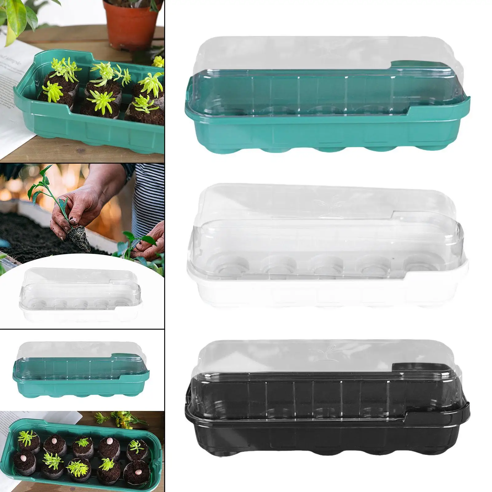 Seed Propagator Tray 10 Holes Gardening Tools Sturdy Equipment Part Greenhouse Grow Dish Windowsill Tray for Growing Lawn
Seed Propagator Tray 10 Holes Gardening Tools Sturdy Equipment Part Greenhouse Grow Dish Windowsill Tray for Growing Lawn