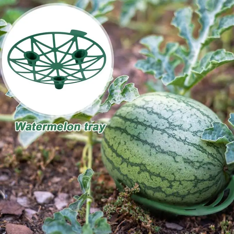 10PCS MelonCradle Pumpkin Support Strawberry Supports Holder Set Protect Watermelons From Ground Rot
10PCS MelonCradle Pumpkin Support Strawberry Supports Holder Set Protect Watermelons From Ground Rot