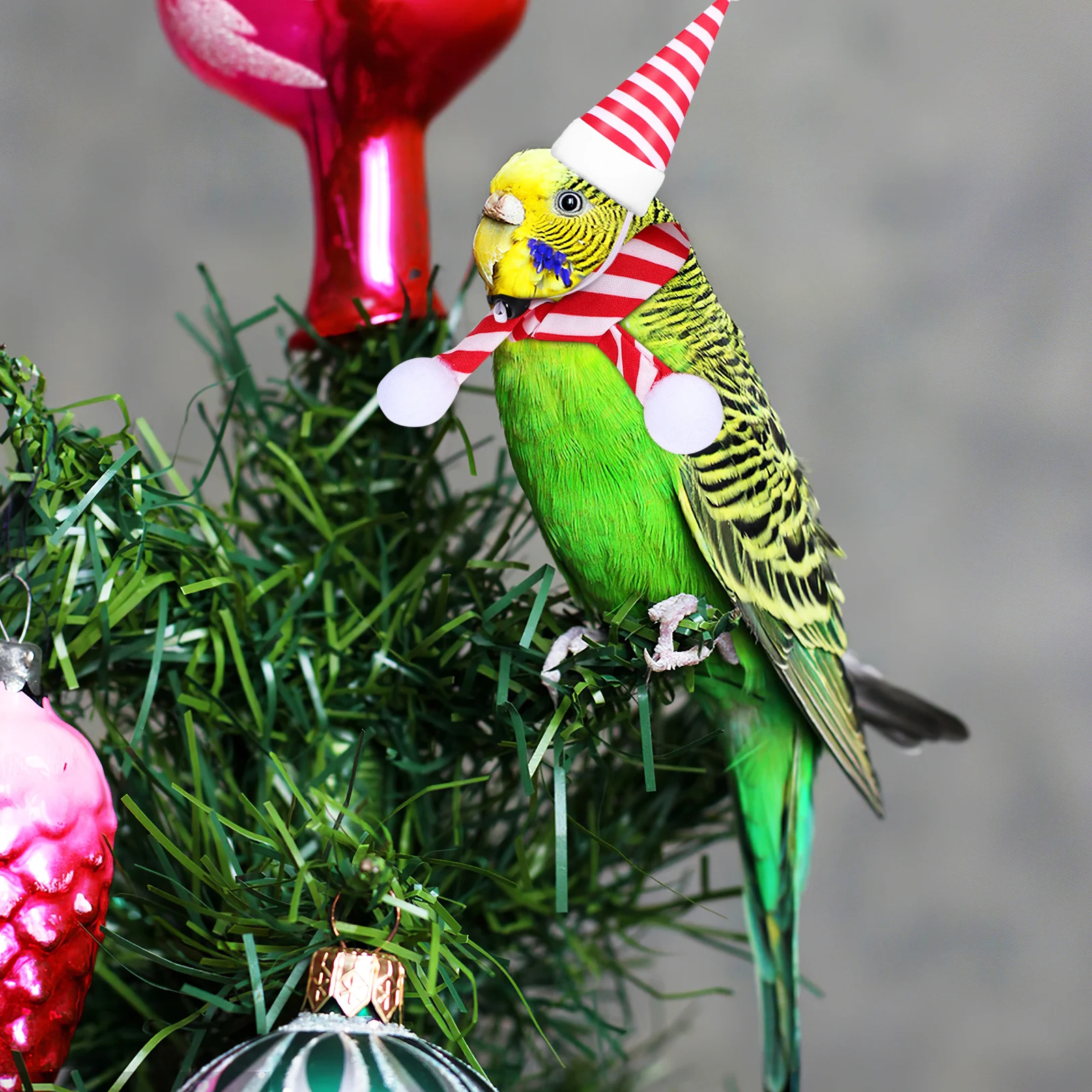 2Sets Cute Pet Christmas Hat Scarf Set for Small Dogs Cats Hamsters Comfortable Soft Decorative Costumes Dog Scarf
2Sets Cute Pet Christmas Hat Scarf Set for Small Dogs Cats Hamsters Comfortable Soft Decorative Costumes Dog Scarf