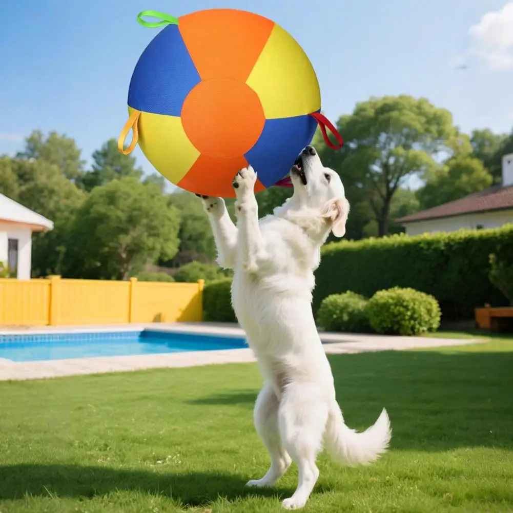 Active Play Dog Toy Herding Ball for Dogs with Handle Cover Ball Durable Tear-resistant Exercise Play Training Toy Dog Toy
Active Play Dog Toy Herding Ball for Dogs with Handle Cover Ball Durable Tear-resistant Exercise Play Training Toy Dog Toy