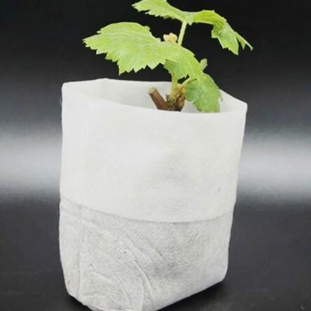 200Pcs Fabric Pots Seedling Growing Bags Biodegradable Non-Woven Plant Pouches for Fast Growth High Survival Rate Garden Nursery
200Pcs Fabric Pots Seedling Growing Bags Biodegradable Non-Woven Plant Pouches for Fast Growth High Survival Rate Garden Nursery