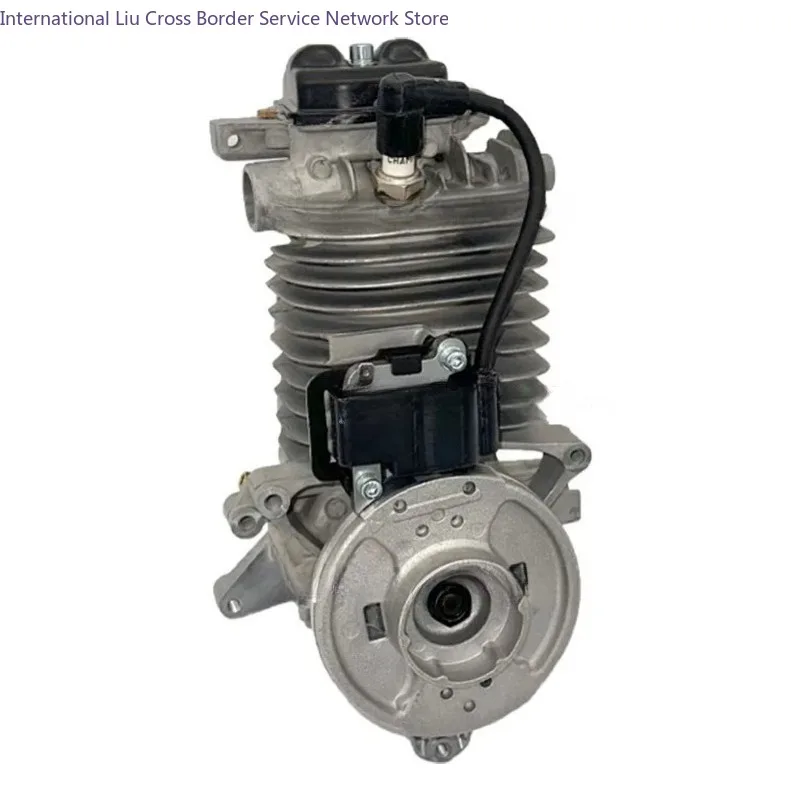 Replace BR800 engine assembly blower engine 4283 020 0200
Replace BR800 engine assembly blower engine 4283 020 0200