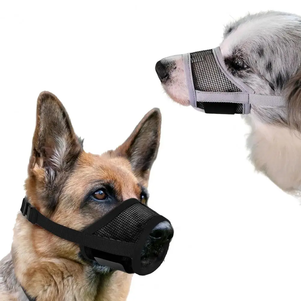 Adjustable Dog Muzzle for Behavior Management Dog Muzzle with Safety Buckle Breathable Mesh Dog Muzzle for Dogs
Adjustable Dog Muzzle for Behavior Management Dog Muzzle with Safety Buckle Breathable Mesh Dog Muzzle for Dogs