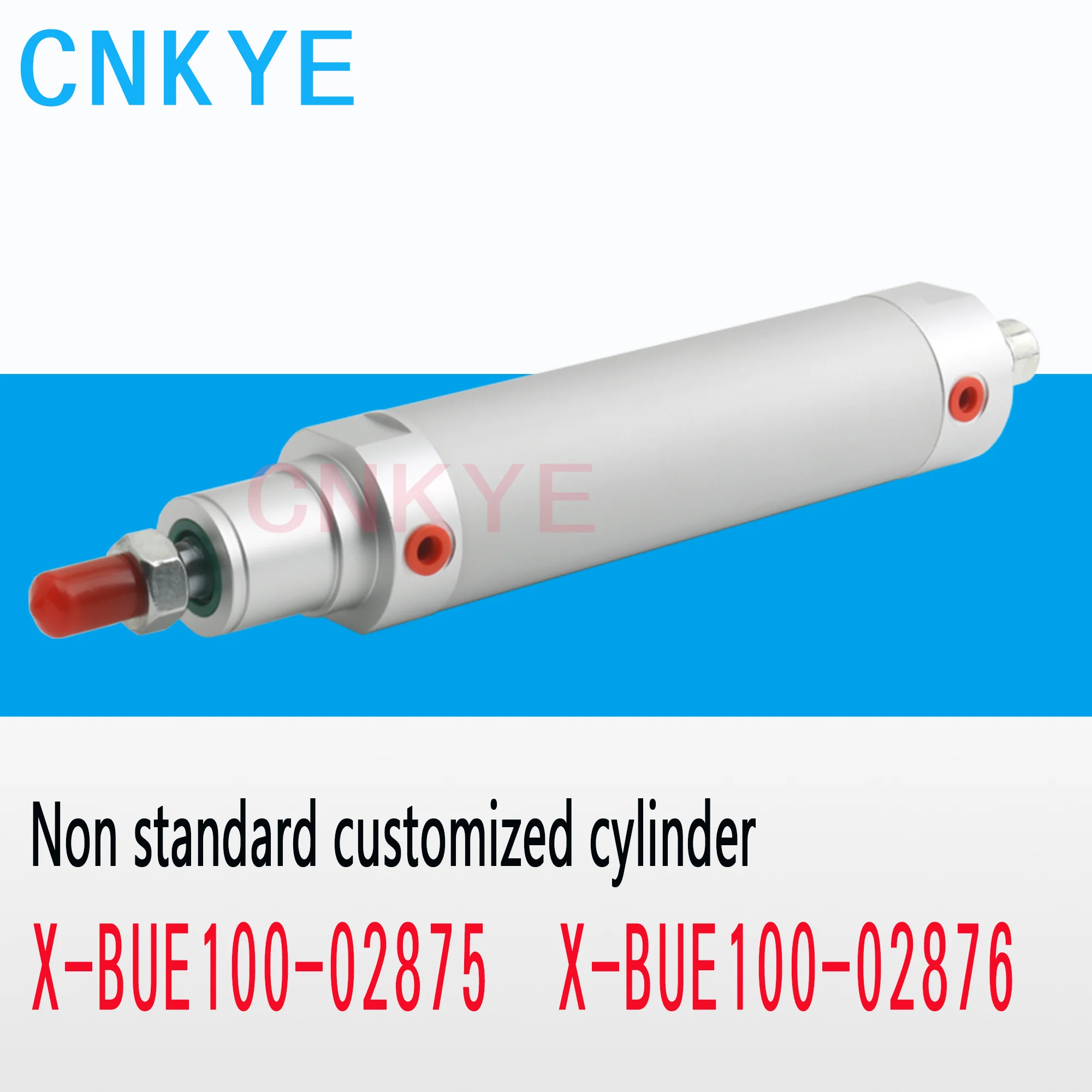 Индивидуальные нестандартные цилиндры X-BUE100-02876 X-BUE100-02875 PSCO24-32-80-000 PSVC24-40-30-000 PSCO 24-032/80 PSCO 24-40-80-0
Индивидуальные нестандартные цилиндры X-BUE100-02876 X-BUE100-02875 PSCO24-32-80-000 PSVC24-40-30-000 PSCO 24-032/80 PSCO 24-40-80-0