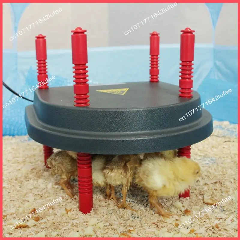 B52C Brooder Heater Brooder Heating Plate For Chicks With Anti Roost Cone, Chick Brooder Heating Plate With Adjustable Heights 
B52C Brooder Heater Brooder Heating Plate For Chicks With Anti Roost Cone, Chick Brooder Heating Plate With Adjustable Heights