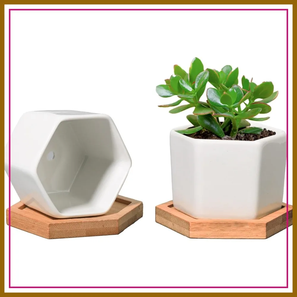 Hexagonal Succulent Planter Set of 2, Ceramic Pot with Bamboo Tray, Geometric Cactus Plant Holder, Home Office Desk Decoration
Hexagonal Succulent Planter Set of 2, Ceramic Pot with Bamboo Tray, Geometric Cactus Plant Holder, Home Office Desk Decoration