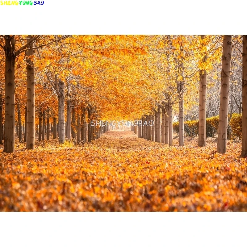Зеленый лес, природный пейзаж, фон для фотосъемки, пейзаж, портрет, фотофон, студийный реквизит KKL-02
Зеленый лес, природный пейзаж, фон для фотосъемки, пейзаж, портрет, фотофон, студийный реквизит KKL-02