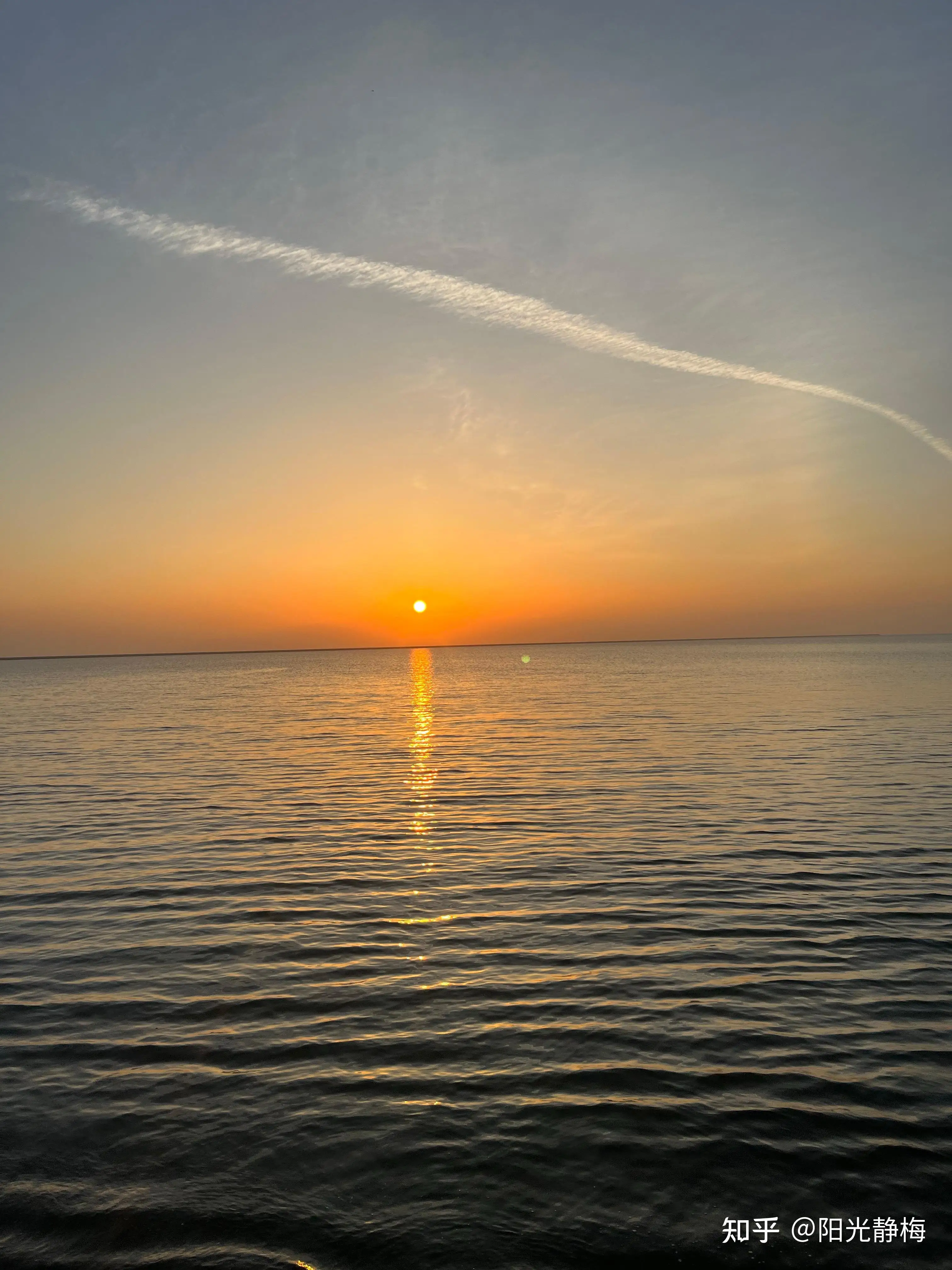 Smoked Black TPU Sticker Car Headlight Protective Film For BMW F40 F22 F44 F30 F31 G20 F34 F32 F36 F10 G30 F06 F07 F12 F01 G11
Smoked Black TPU Sticker Car Headlight Protective Film For BMW F40 F22 F44 F30 F31 G20 F34 F32 F36 F10 G30 F06 F07 F12 F01 G11