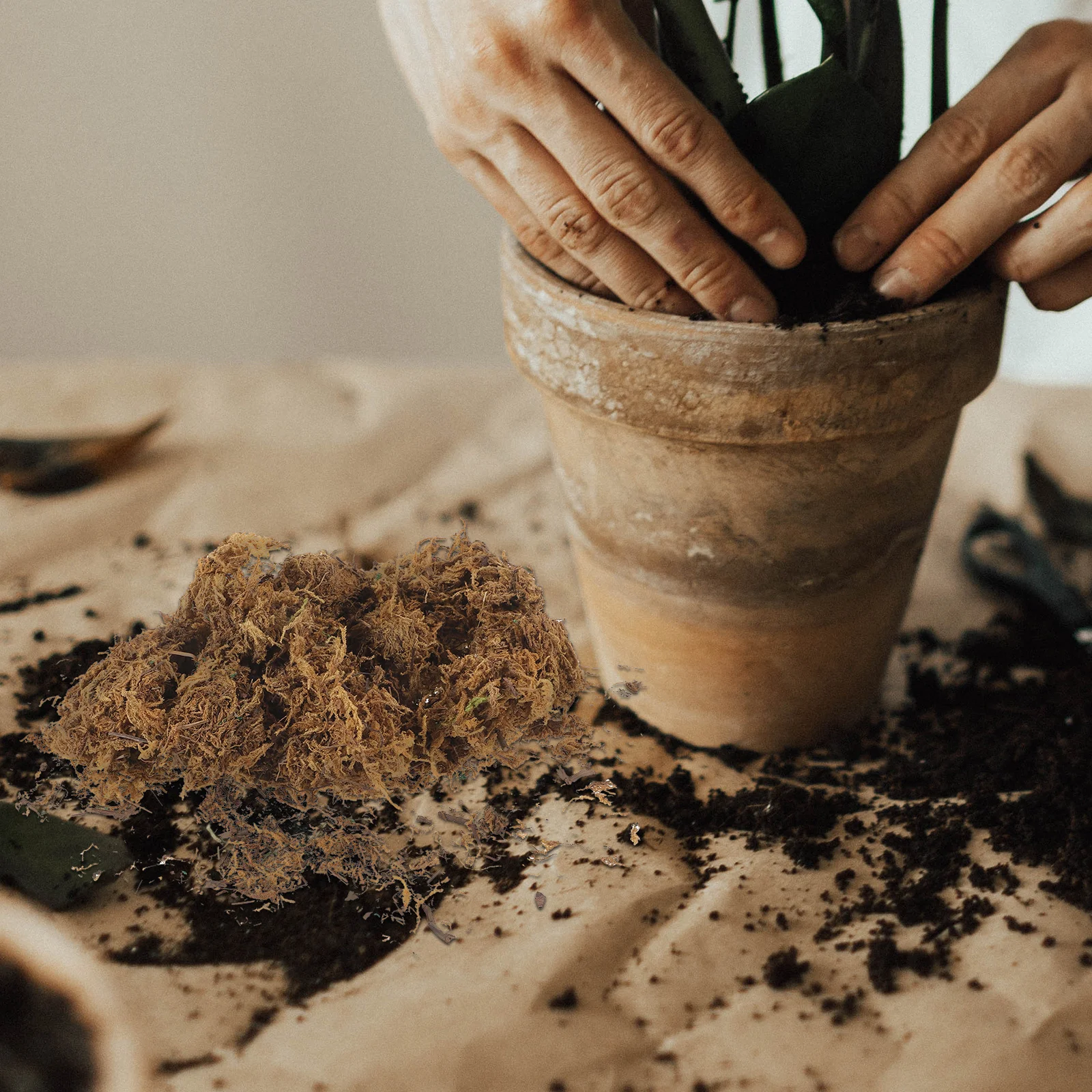 1 Bag Artificial Moss Decoration for Crafts Colored Moss for Potted Plants Faux Greenery Decor Wall
1 Bag Artificial Moss Decoration for Crafts Colored Moss for Potted Plants Faux Greenery Decor Wall