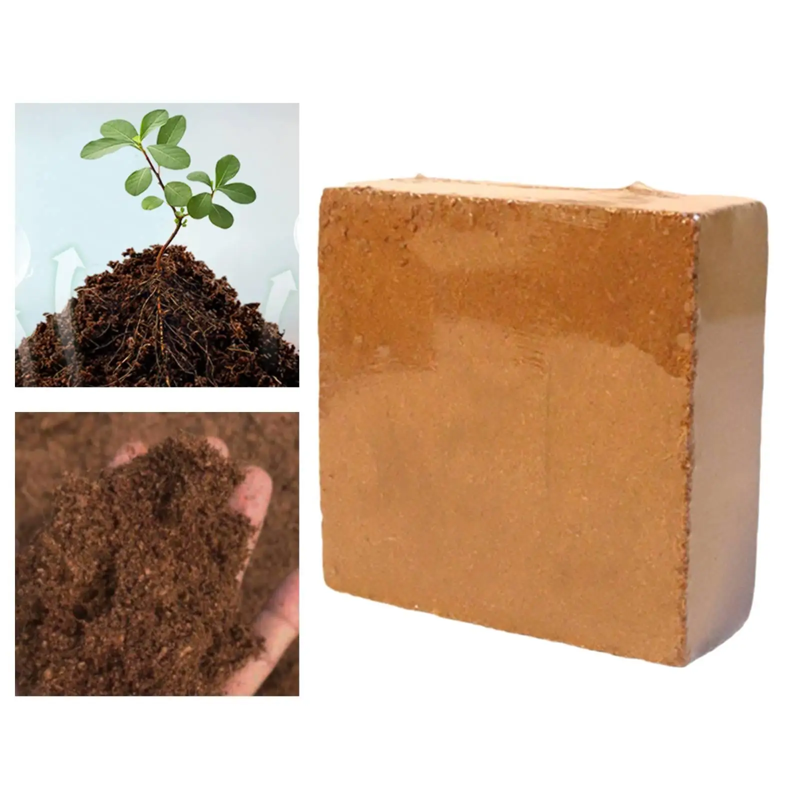Cocos Coir Brick Planting Medium Home Lawn Yard Coconut Coir for Hydroponics Plant Pots Garden Containers Planter Vegetables
Cocos Coir Brick Planting Medium Home Lawn Yard Coconut Coir for Hydroponics Plant Pots Garden Containers Planter Vegetables