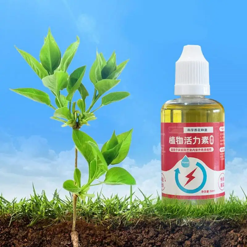 Rapid Rooting Plant Nutrient Solution Garden Supplement Fast Potting Rooting Liquid Promote Sprouting and Flowering Plant Growth
Rapid Rooting Plant Nutrient Solution Garden Supplement Fast Potting Rooting Liquid Promote Sprouting and Flowering Plant Growth