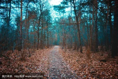 Aluminium Alloy Main Gear Adapter for E-REV0 2.0 86086-4 ER2035 RC Car Replace
Aluminium Alloy Main Gear Adapter for E-REV0 2.0 86086-4 ER2035 RC Car Replace