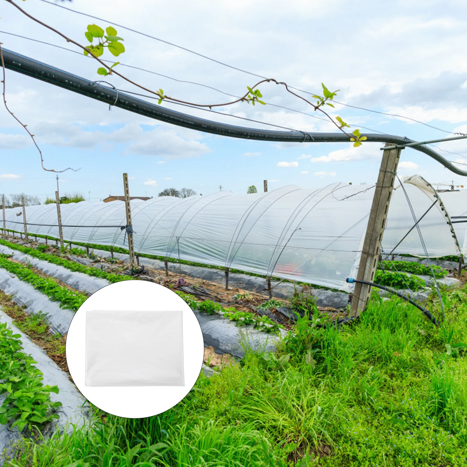 Waterproof Pe Tarp Cover Clear Plant Protective Cover High Light Transmittance Tear Resistant Garden Shelter Rain Shelter
Waterproof Pe Tarp Cover Clear Plant Protective Cover High Light Transmittance Tear Resistant Garden Shelter Rain Shelter