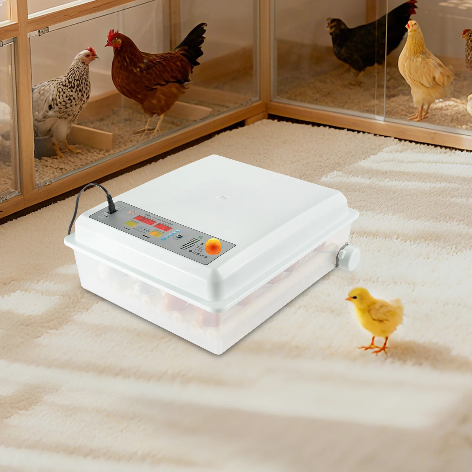 Egg Incubator for 64 Eggs, Dual Power 110V Incubator for Hatching and Brooding, Adjustable Egg Tray, for Chicken Duck Quail
Egg Incubator for 64 Eggs, Dual Power 110V Incubator for Hatching and Brooding, Adjustable Egg Tray, for Chicken Duck Quail
