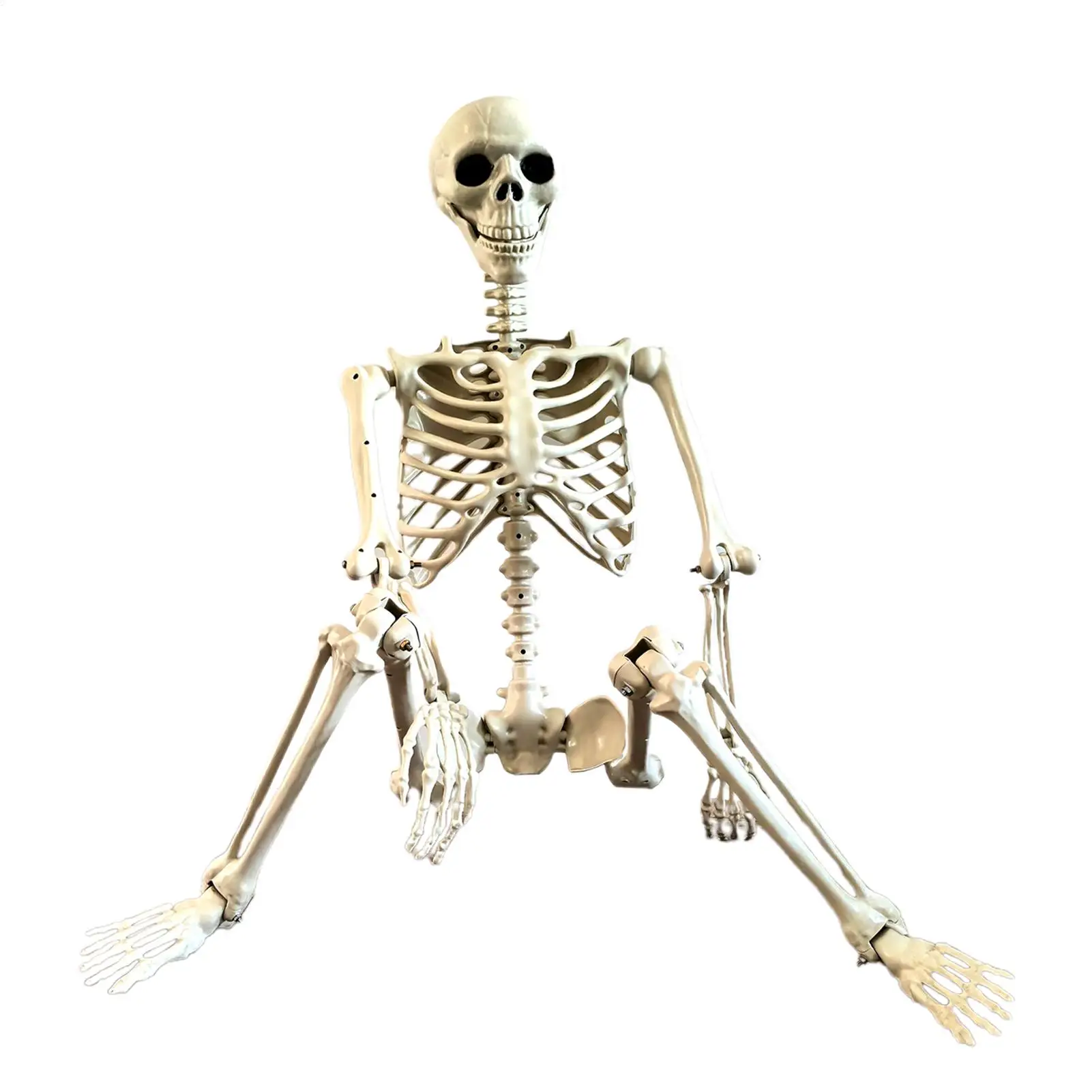 Skeleton Decor For Outdoor Movable Joints Full Size Skeleton Model Weather-Resistant Outdoor Decorations Spooky Photo Props
Skeleton Decor For Outdoor Movable Joints Full Size Skeleton Model Weather-Resistant Outdoor Decorations Spooky Photo Props