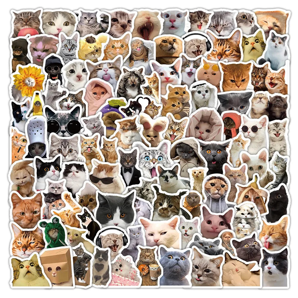 104 Sheets Funny Cat Stickers, Cute Cartoon Kitten Decals for DIY Phone Case Laptop Water Bottle Decor
104 Sheets Funny Cat Stickers, Cute Cartoon Kitten Decals for DIY Phone Case Laptop Water Bottle Decor