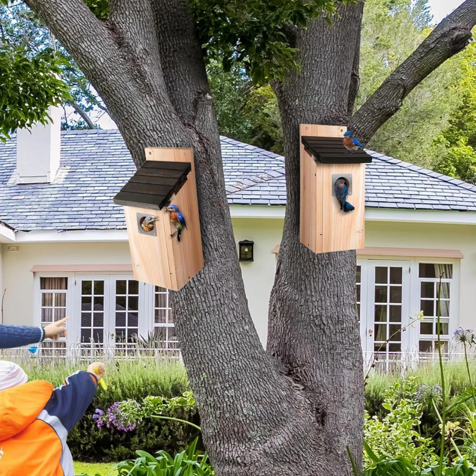 Wooden Birdhouse Metal Framed Opening Tree Mount Birdhouse Wooden Bird Box Small Entrance Garden Decor Vintage Look for Outdoor
Wooden Birdhouse Metal Framed Opening Tree Mount Birdhouse Wooden Bird Box Small Entrance Garden Decor Vintage Look for Outdoor