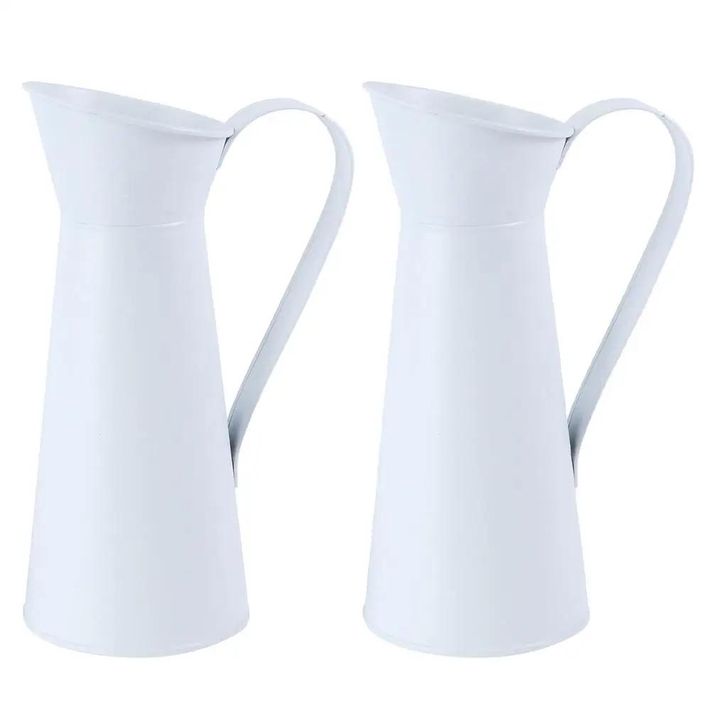 2 Pcs Dry Flower Vase Elegant Home Flowerpot Creative Shape Desktop Planter Rustic Modern Container Practical Iron Non Slip
2 Pcs Dry Flower Vase Elegant Home Flowerpot Creative Shape Desktop Planter Rustic Modern Container Practical Iron Non Slip