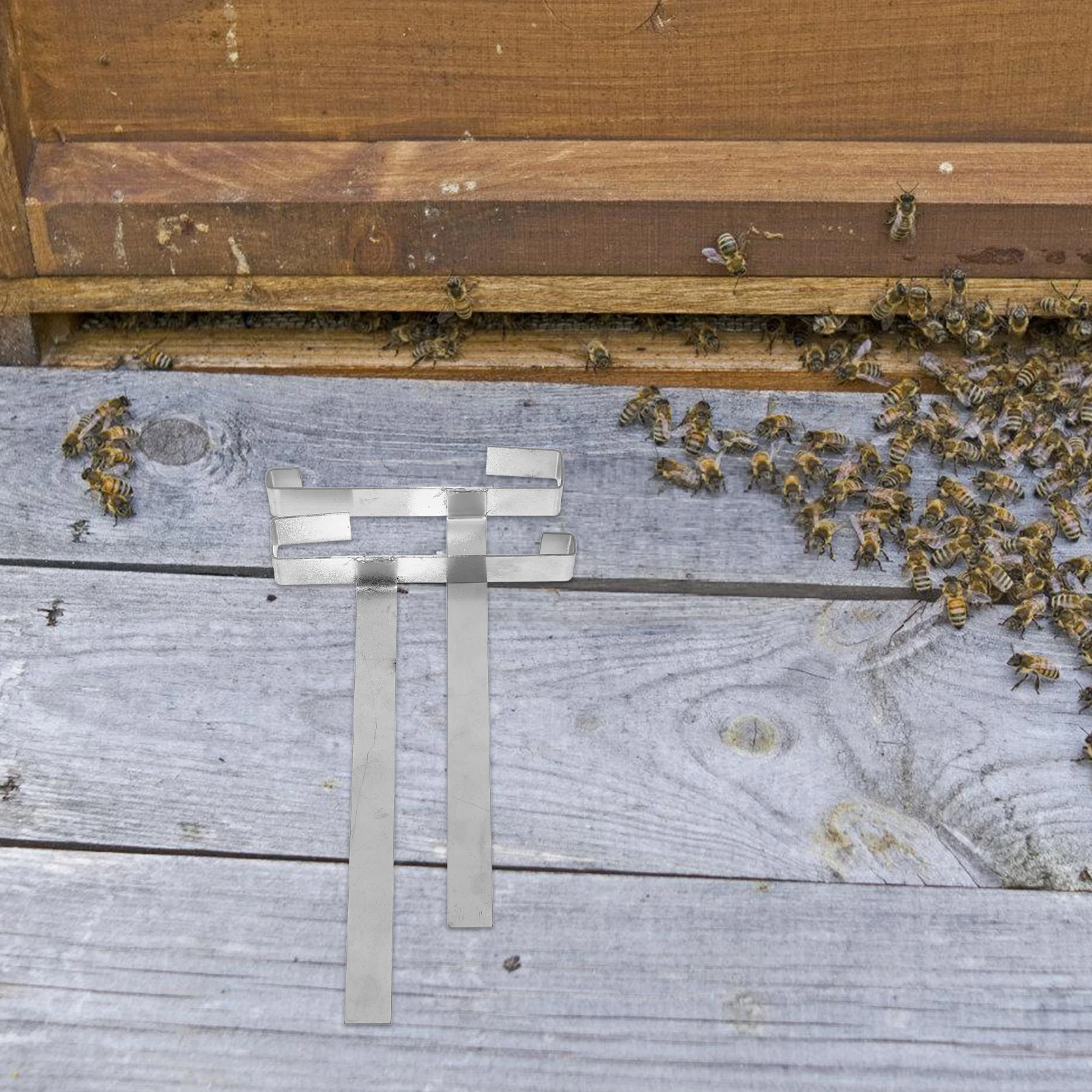 Beekeeping Frames Holder Professional Racks Nest Shelf Stainless Steel Durable Hive Tool Practical Utility Beekeeper Supplies
Beekeeping Frames Holder Professional Racks Nest Shelf Stainless Steel Durable Hive Tool Practical Utility Beekeeper Supplies