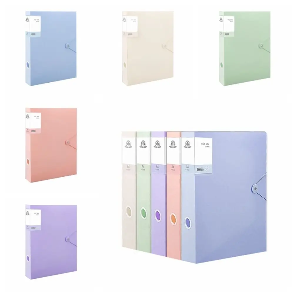 Multifunctional A4 File Organizer Box Thickened Morandi Color Desktop Storage Box Dustproof PP Plastic File Paper Organizer
Multifunctional A4 File Organizer Box Thickened Morandi Color Desktop Storage Box Dustproof PP Plastic File Paper Organizer