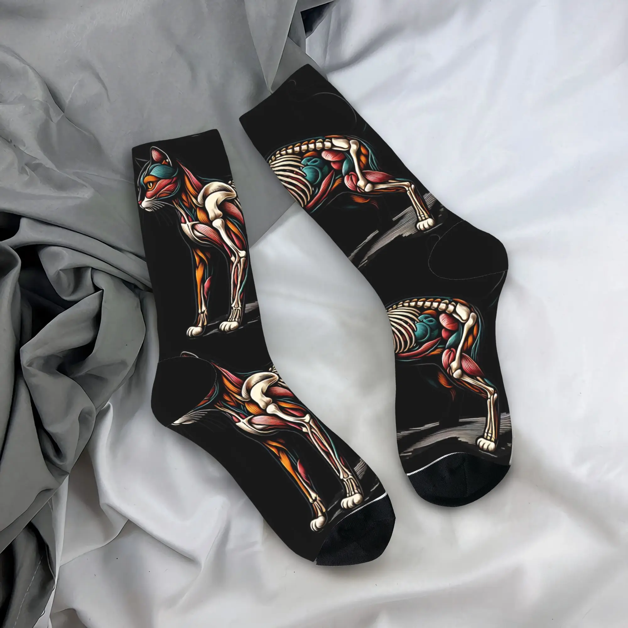 Cat Anatomy Skeleton Socks Gothic Stockings Adults Men High Quality Outdoor Socks Autumn Design Non Slip Socks
Cat Anatomy Skeleton Socks Gothic Stockings Adults Men High Quality Outdoor Socks Autumn Design Non Slip Socks