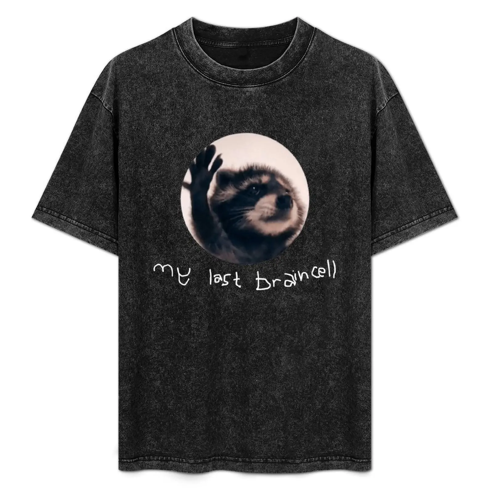 My Last Brain Cell Dancing Raccooon Meme T-Shirt Simple Casual Short Sleeve Cotton T-Shirt
My Last Brain Cell Dancing Raccooon Meme T-Shirt Simple Casual Short Sleeve Cotton T-Shirt
