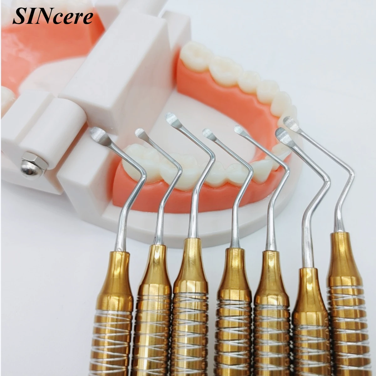 7Pcs Dental Curette Jagged Curettes Kit Dental Scaler Gracey Bone Curette Cleaning Excavator Double Ends Tools
7Pcs Dental Curette Jagged Curettes Kit Dental Scaler Gracey Bone Curette Cleaning Excavator Double Ends Tools