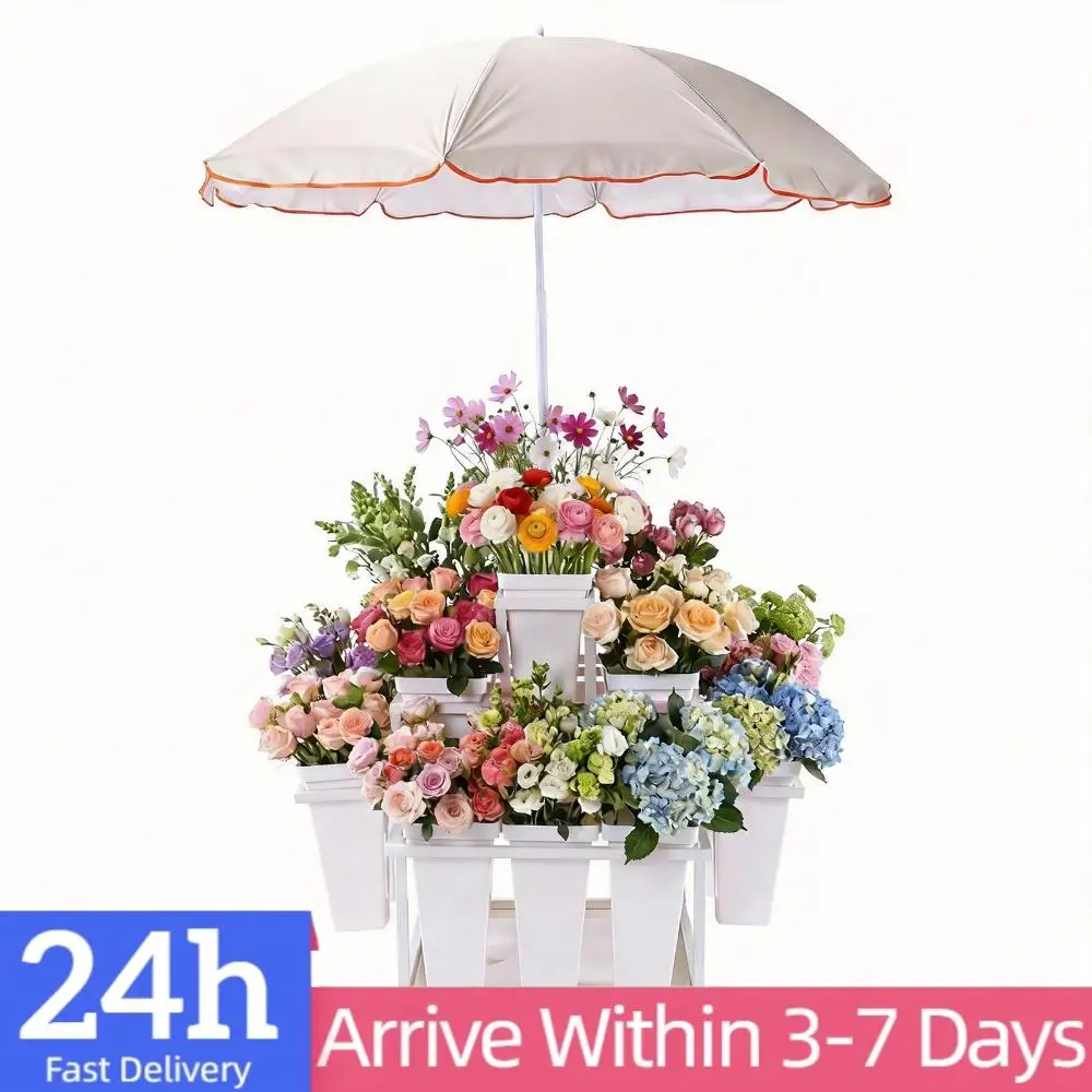 Стеллаж-тележка для цветов с 18 ведрами, передвижная подставка для цветов на колесах с зонтом для свадеб, вечеринок и домашнего декора
Стеллаж-тележка для цветов с 18 ведрами, передвижная подставка для цветов на колесах с зонтом для свадеб, вечеринок и домашнего декора
