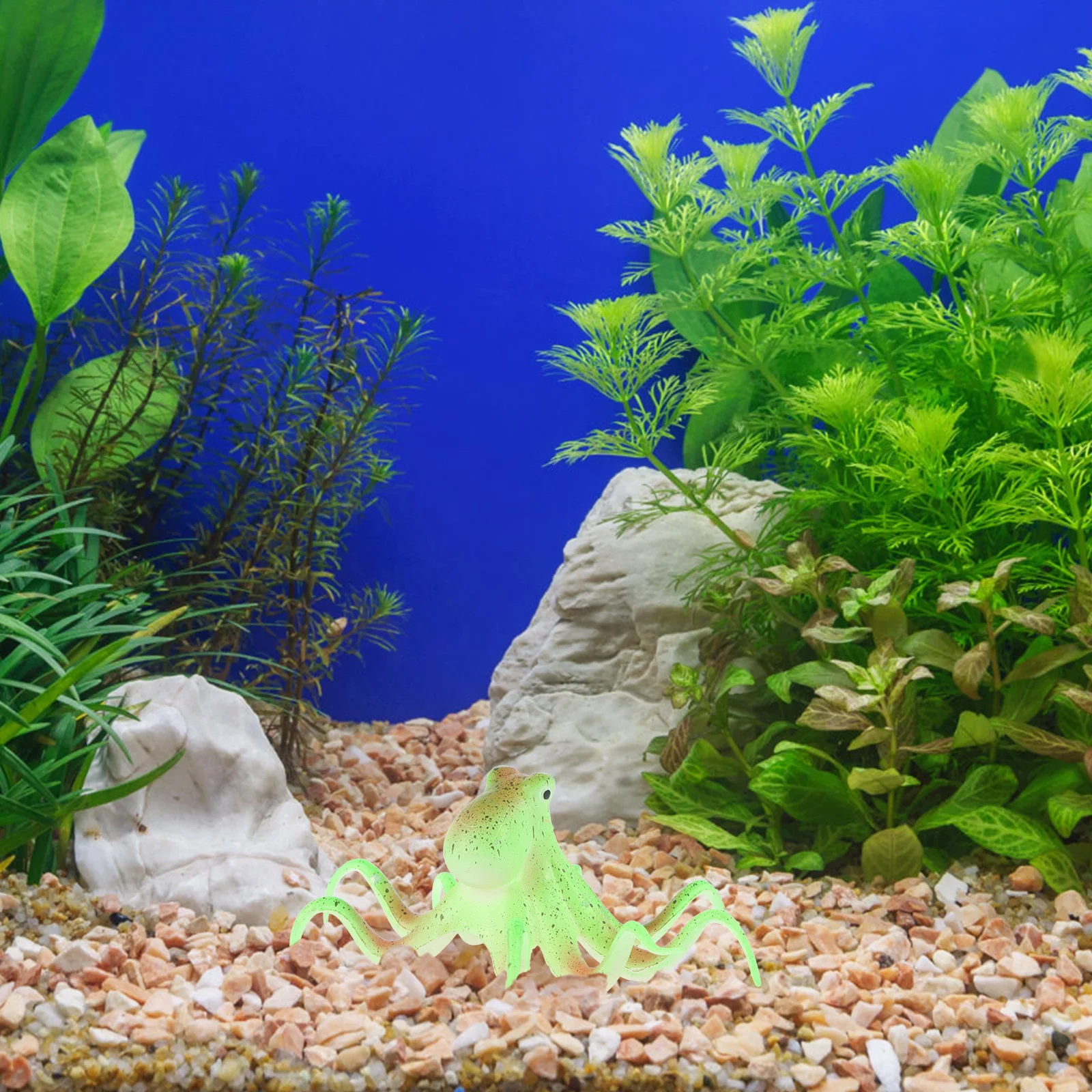 Fluorescent Simulation of Marine Octopus Office Aquarium Fish Tank Silica Gel Small
Fluorescent Simulation of Marine Octopus Office Aquarium Fish Tank Silica Gel Small