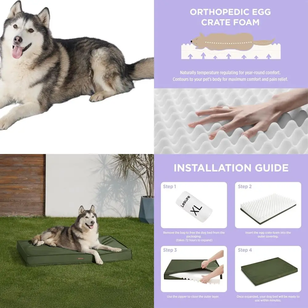 XXL Waterproof Orthopedic Dog Bed for Large Dogs, 48x30 Green with Removable Cover and Egg Crate Foam
XXL Waterproof Orthopedic Dog Bed for Large Dogs, 48x30 Green with Removable Cover and Egg Crate Foam