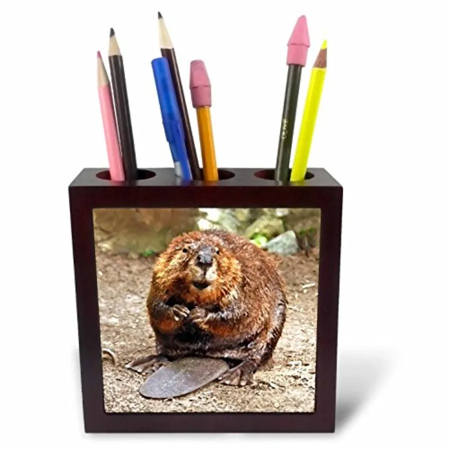 ph_4660_1 Beaver Tile Pen Holder, 5-Inch
ph_4660_1 Beaver Tile Pen Holder, 5-Inch