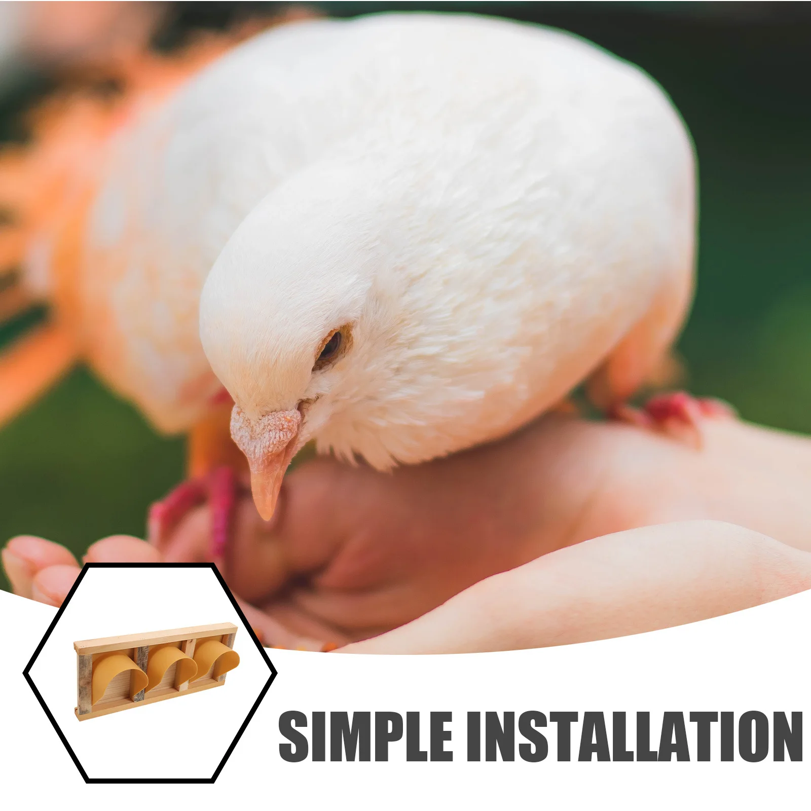 Wooden European Style Pigeon Racing Door Bird Cage Entrance Barrier Free Rounded Corner Pigeon Supplies Door Bird Cage Supplies
Wooden European Style Pigeon Racing Door Bird Cage Entrance Barrier Free Rounded Corner Pigeon Supplies Door Bird Cage Supplies