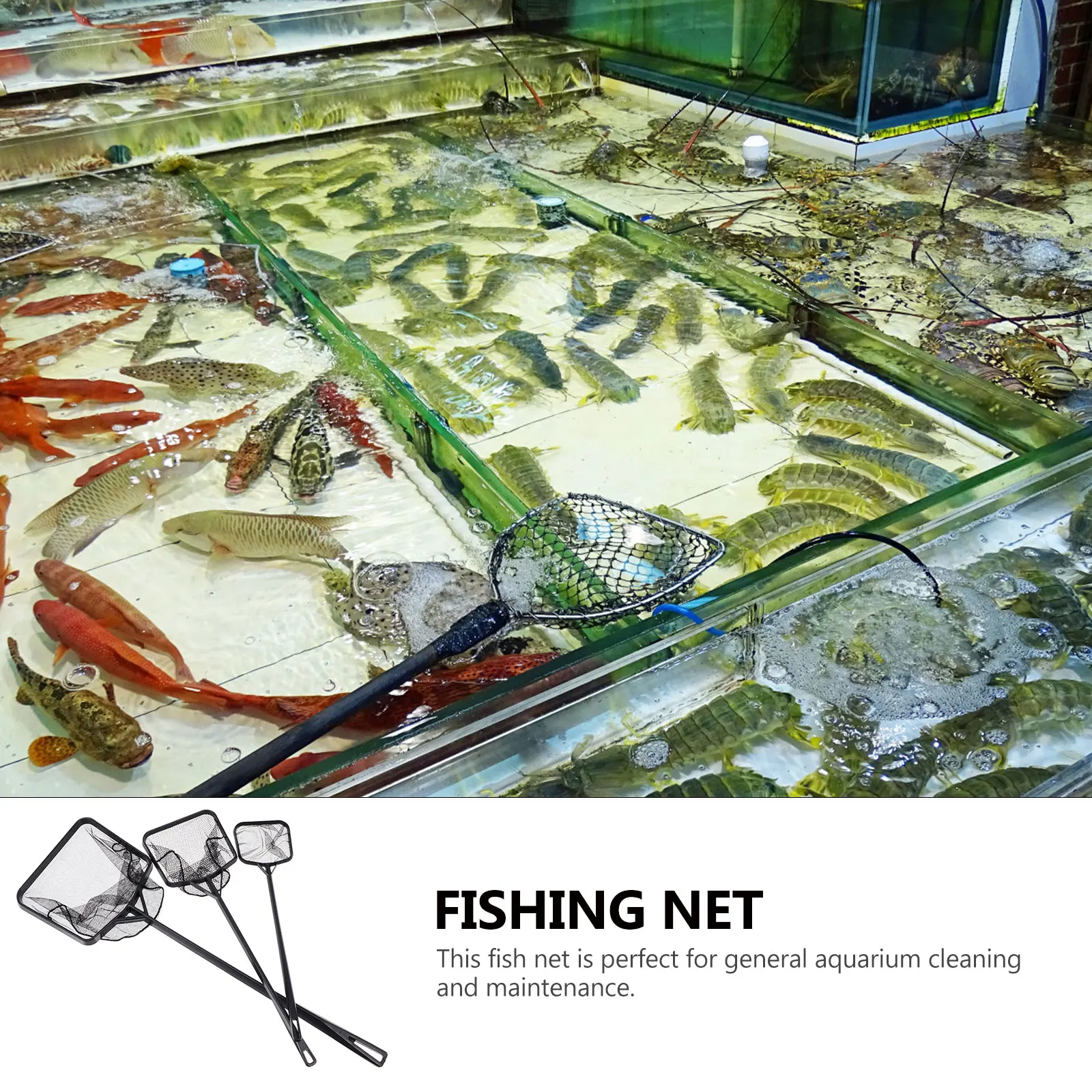 3Pcs Fishing Nets ABS Material H held Shrimp Catching Net for Fish Tank Swimming Pool Stainless Steel Black Practical Durable 
3Pcs Fishing Nets ABS Material H held Shrimp Catching Net for Fish Tank Swimming Pool Stainless Steel Black Practical Durable
