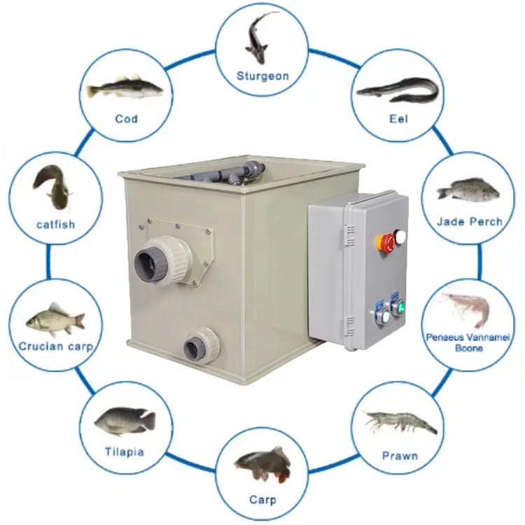 Высококачественное комнатное Автоматическое очищение аквакультуры, вращающийся барабанный фильтр, оборудование для тилапии/RAS/рыболовной фермы
Высококачественное комнатное Автоматическое очищение аквакультуры, вращающийся барабанный фильтр, оборудование для тилапии/RAS/рыболовной фермы