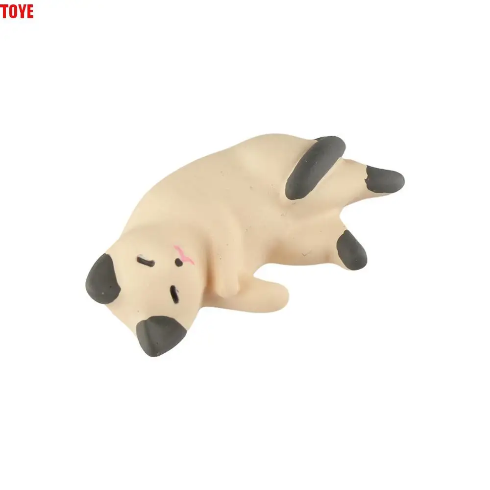 Cute Simulated Cat Fridge Ornaments Resin Simulation Cat Resin Accessories Handicraft Sleep Cat Lazy Cat Miniatures Home Decor
Cute Simulated Cat Fridge Ornaments Resin Simulation Cat Resin Accessories Handicraft Sleep Cat Lazy Cat Miniatures Home Decor