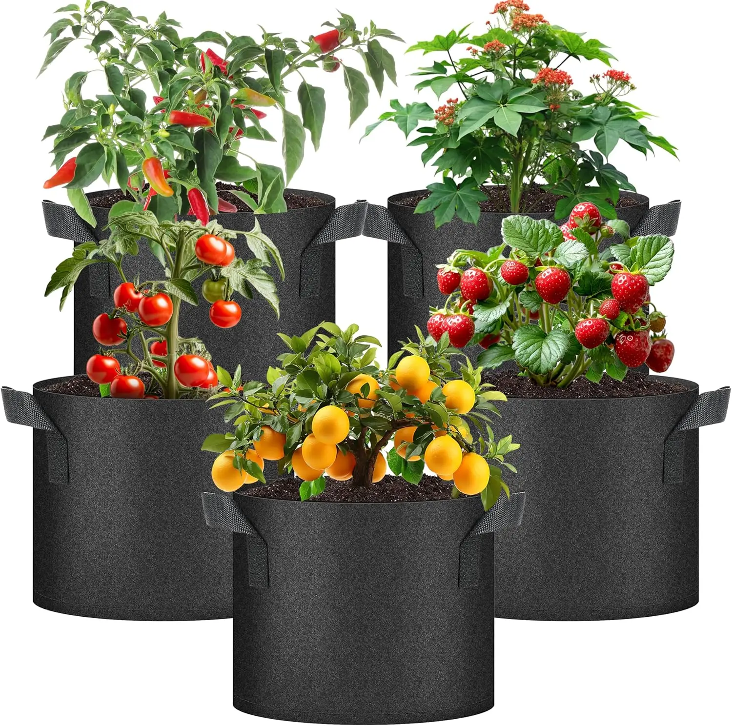 Plant Grow Bags 5 Gallon, Tomoato Planter Pots 5-Pack with Handles, Aeration Nonwoven Fabric, Heavy Duty Gardening Pla
Plant Grow Bags 5 Gallon, Tomoato Planter Pots 5-Pack with Handles, Aeration Nonwoven Fabric, Heavy Duty Gardening Pla