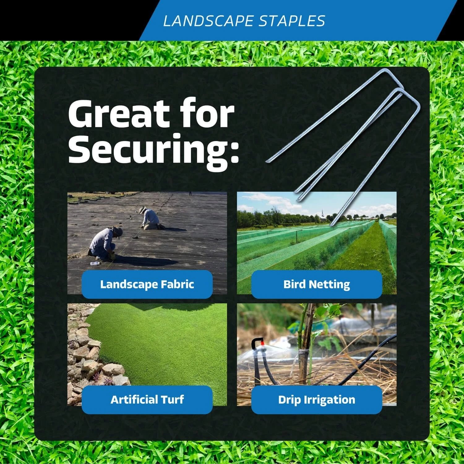 6-дюймовые скобы Landscape Sod (сталь 8 калибра) | Отлично подходит для Hard & Rocky Soil | 40% толщины, чем стандарт 11 калибра
6-дюймовые скобы Landscape Sod (сталь 8 калибра) | Отлично подходит для Hard & Rocky Soil | 40% толщины, чем стандарт 11 калибра
