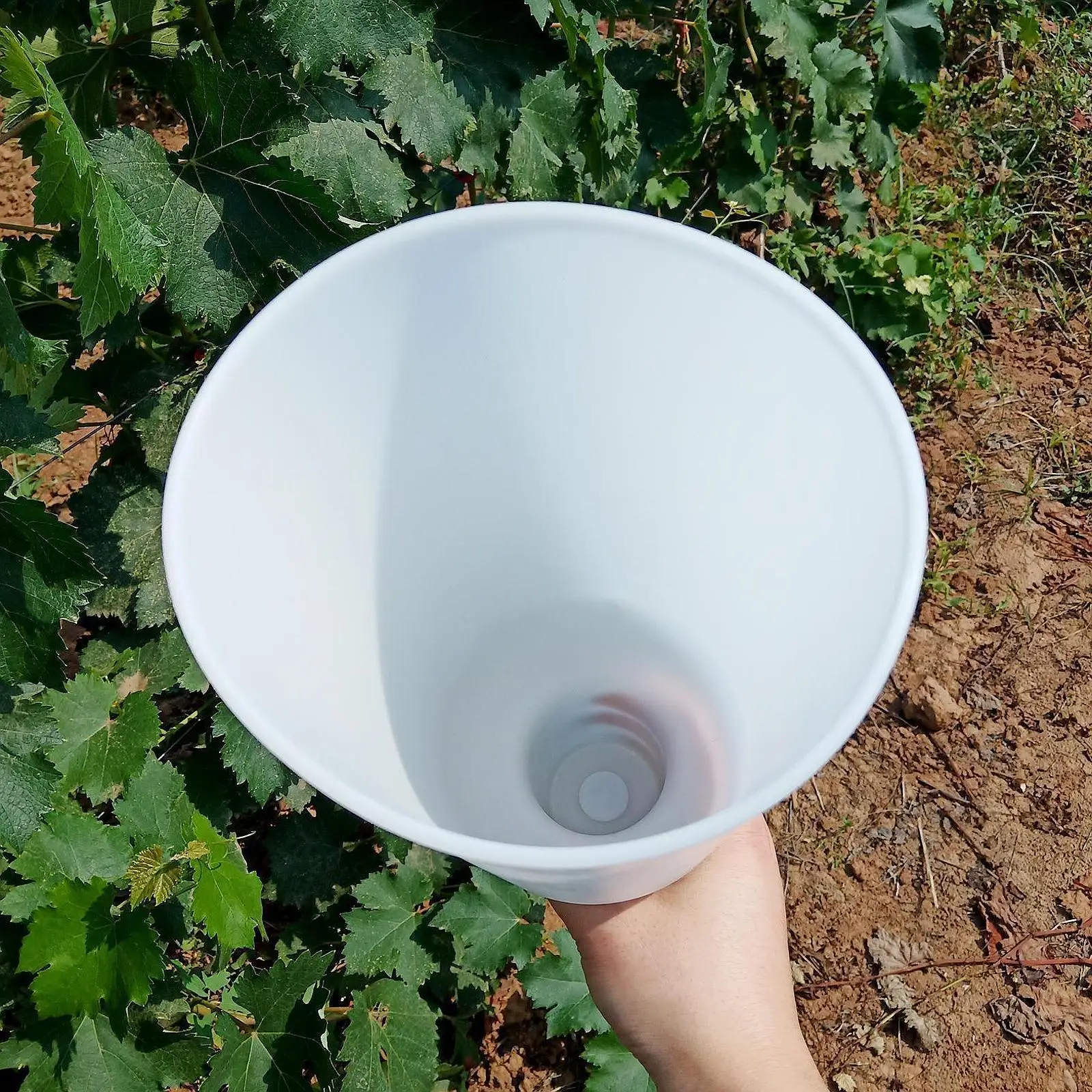Чашка для обрезки веток Grape Dipping Cup: Простая в использовании, премиум-качество, для сада, фермы, огорода, садоводческий инструмент
Чашка для обрезки веток Grape Dipping Cup: Простая в использовании, премиум-качество, для сада, фермы, огорода, садоводческий инструмент