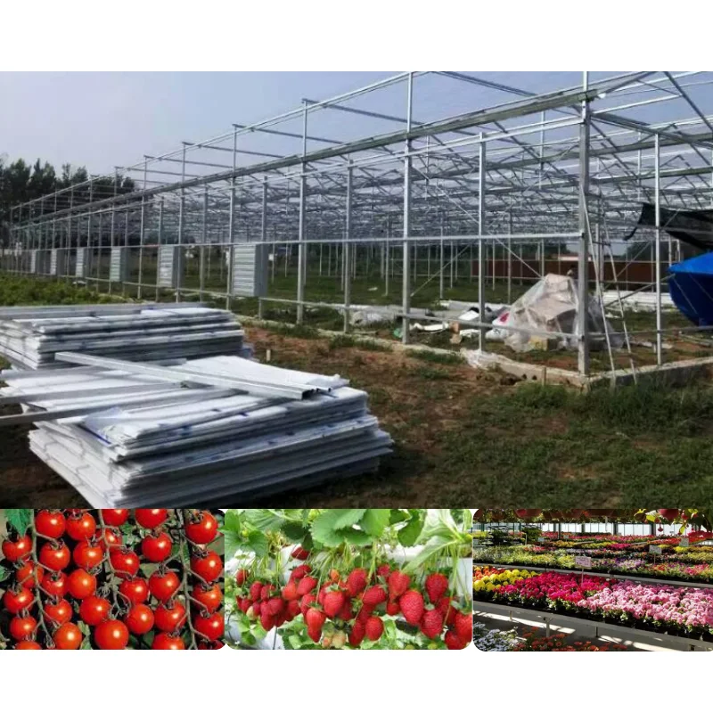 Customized greenhouseSaudi Arabia Glass Greenhouse Project Large-Scale Agriculture Greenhouse Covered with Tempered Glass for Fl
Customized greenhouseSaudi Arabia Glass Greenhouse Project Large-Scale Agriculture Greenhouse Covered with Tempered Glass for Fl