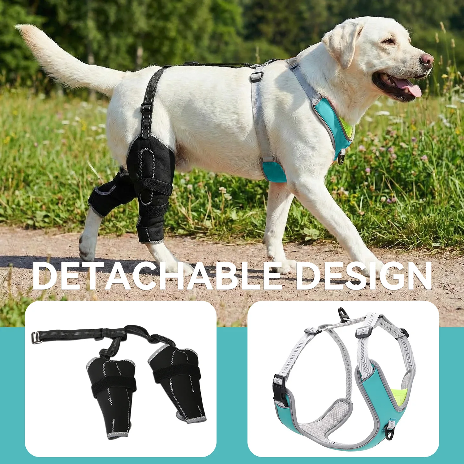 Dog Knee Brace for Hind Leg | Adjustable Stabilizing Support - Rehabilitation,Arthritis ACL | Reflective Dogs Brace Harness Set
Dog Knee Brace for Hind Leg | Adjustable Stabilizing Support - Rehabilitation,Arthritis ACL | Reflective Dogs Brace Harness Set