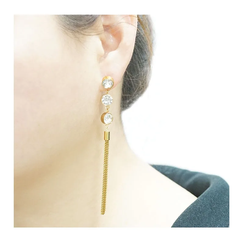 Stainless Steel Fashion Long Fringed Zircon Earrings Women's Titanium Steel High-end Temperament Popular Earrings
Stainless Steel Fashion Long Fringed Zircon Earrings Women's Titanium Steel High-end Temperament Popular Earrings