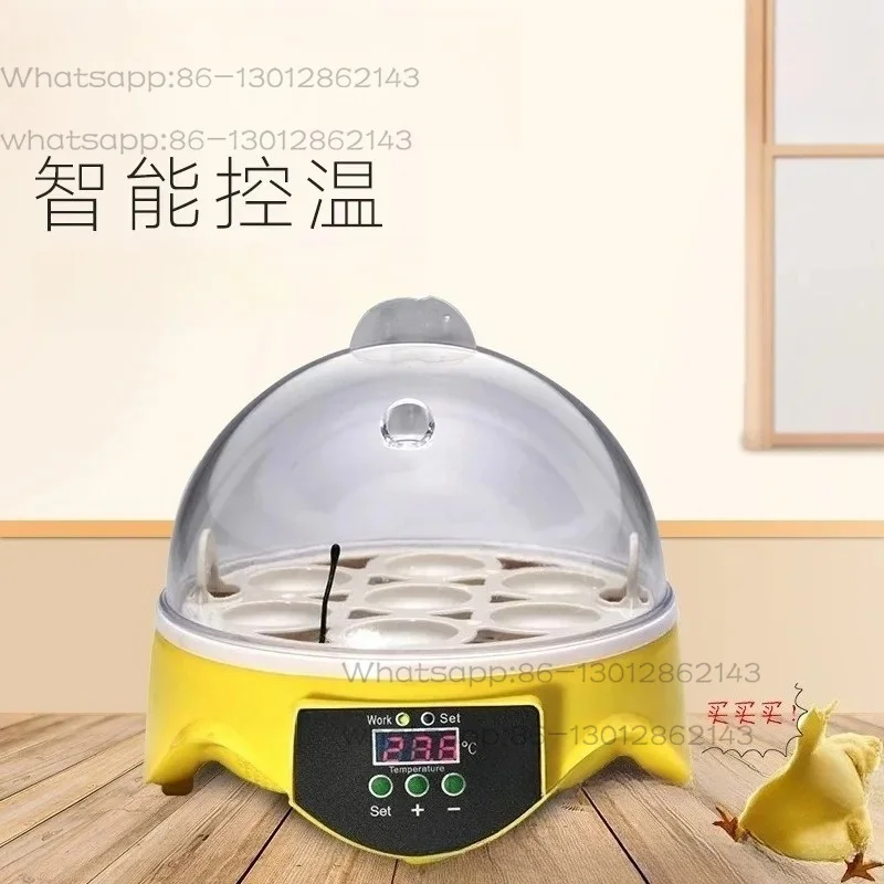 Mini Egg Incubator 7 Chicks Hatcher Egg Incubator Hatch Box Quail Parrot Household Small Incubator
Mini Egg Incubator 7 Chicks Hatcher Egg Incubator Hatch Box Quail Parrot Household Small Incubator