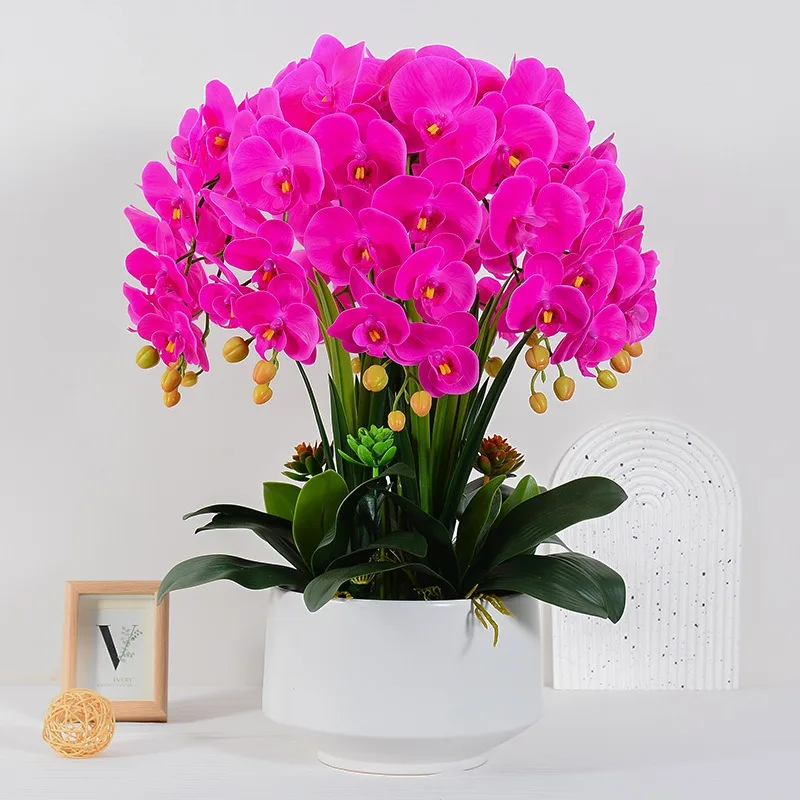 Luxury True Touch Orchid Ceramic Pot Home Decoration Simulation Flower Wedding Decoration Easter Christmas Back to School
Luxury True Touch Orchid Ceramic Pot Home Decoration Simulation Flower Wedding Decoration Easter Christmas Back to School