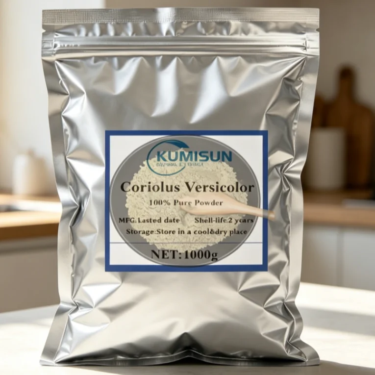 Global Wholesale Production Raw Material Factories 100% Coriolus Versicolor Powder With Aluminum Foil Bag
Global Wholesale Production Raw Material Factories 100% Coriolus Versicolor Powder With Aluminum Foil Bag
