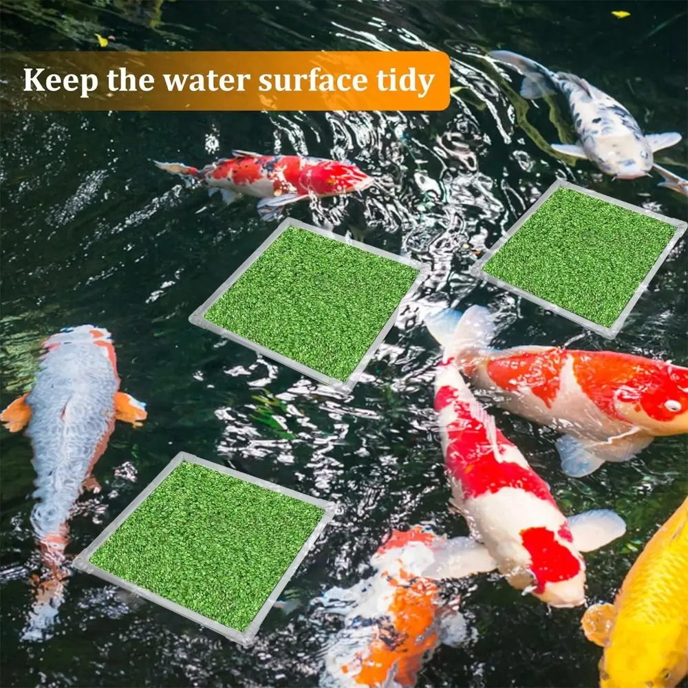 Easy Assembly Acrylic Aquarium Floating Plant Corral Square Clear Aquarium Food Ring Reusable Fish Feeding Ring Pond Accessories
Easy Assembly Acrylic Aquarium Floating Plant Corral Square Clear Aquarium Food Ring Reusable Fish Feeding Ring Pond Accessories