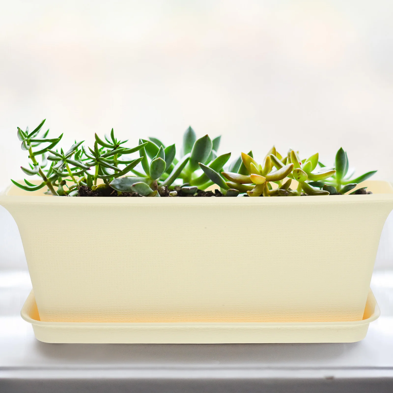 Rectangular Flower Pot Plant Holder Indoor Pots Large Plastic Planter Window Garden Vegetable Tray
Rectangular Flower Pot Plant Holder Indoor Pots Large Plastic Planter Window Garden Vegetable Tray