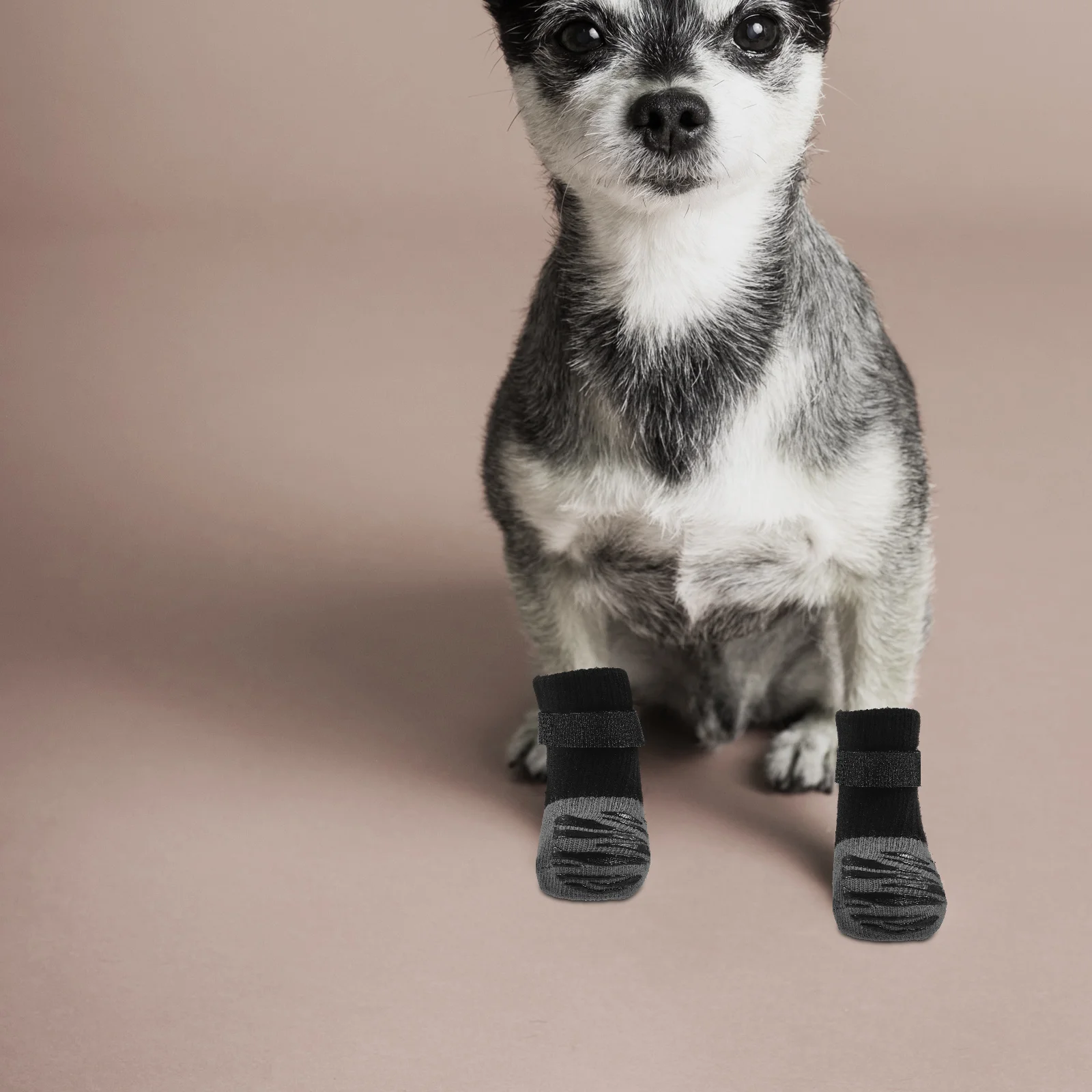 4 Pcs Pet Socks Replaceable Warm Portable Dog Paws Cat Boots for Cats Nylon Puppy Accessories Wear-resistant Protectors
4 Pcs Pet Socks Replaceable Warm Portable Dog Paws Cat Boots for Cats Nylon Puppy Accessories Wear-resistant Protectors