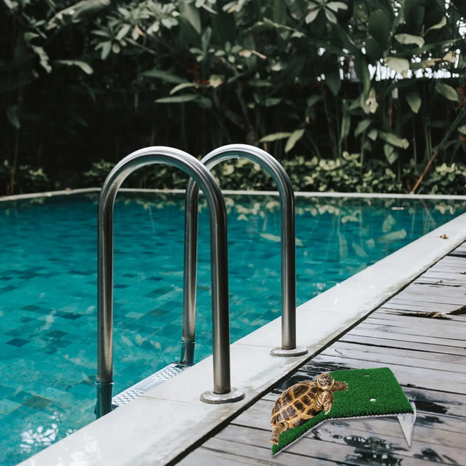 3Pcs Pool Animal Escape Ramp Pet Safety Ramp Suction Cup Climbing Ladder Small Dogs Frogs Critter Rescue Wildlife Pools Ponds
3Pcs Pool Animal Escape Ramp Pet Safety Ramp Suction Cup Climbing Ladder Small Dogs Frogs Critter Rescue Wildlife Pools Ponds