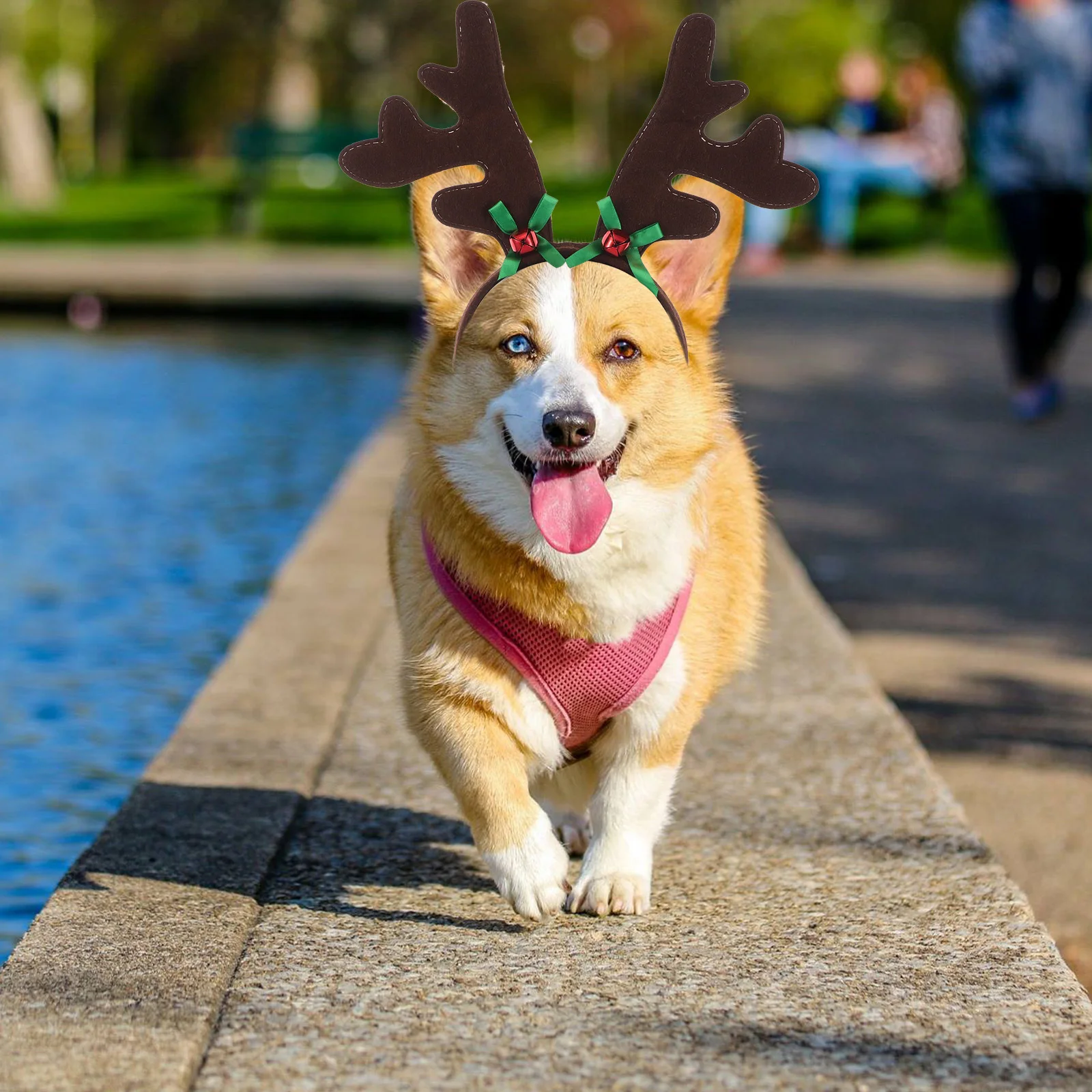 Pet Dog Christmas Head Hoop Antler Bowknot Green Pattern Costume Party Photo Xmas Headband Decor Dog Christmas Head Hoop
Pet Dog Christmas Head Hoop Antler Bowknot Green Pattern Costume Party Photo Xmas Headband Decor Dog Christmas Head Hoop